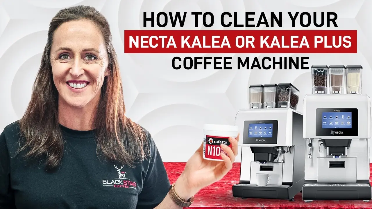 How to clean your necta kalea or kalea plus coffee machine blackstag coffee machines